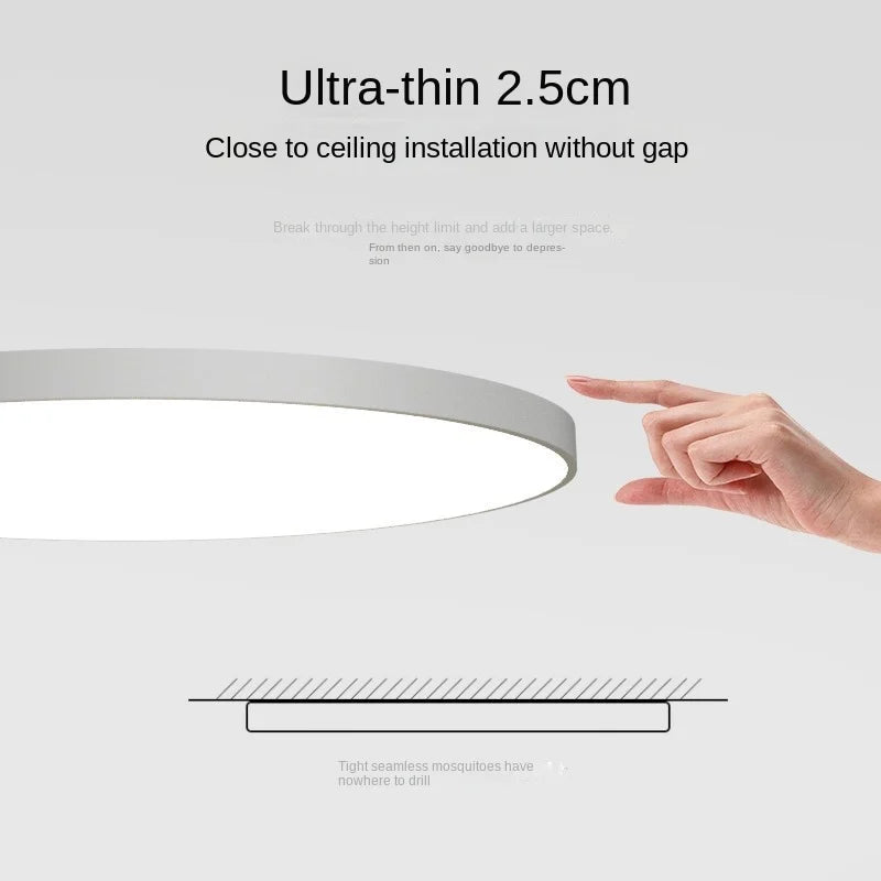 Round LED Modern Flush Fixture