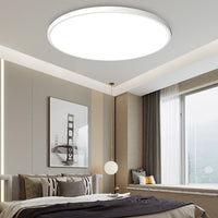 Round LED Modern Flush Fixture