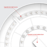 Round LED Modern Flush Fixture