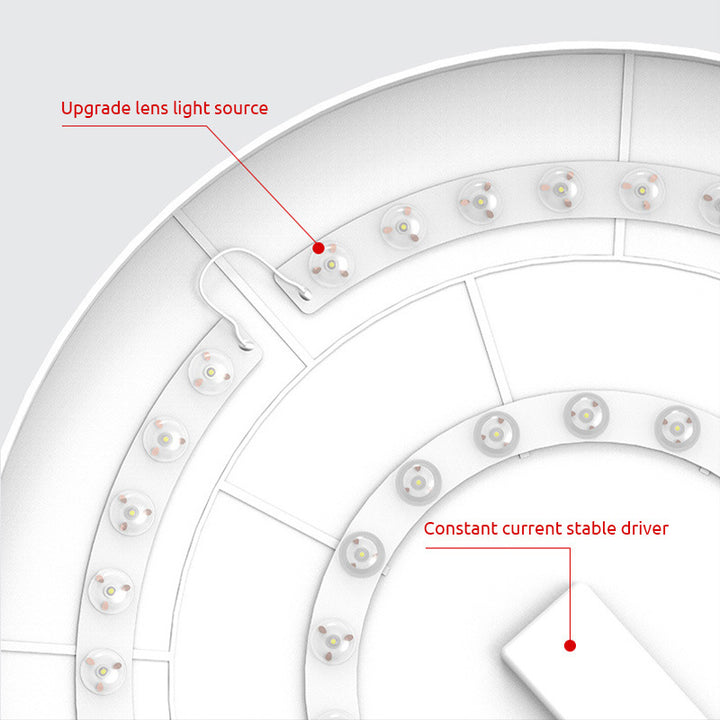 Round LED Modern Flush Fixture