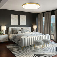 Round LED Modern Flush Fixture
