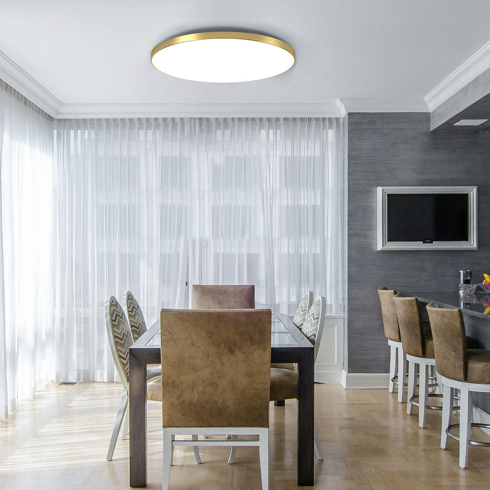 Round LED Modern Flush Fixture