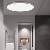 Round LED Modern Flush Fixture