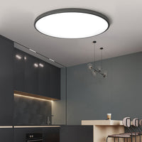 Round LED Modern Flush Fixture