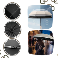 Wind Resistant Umbrella with Automatic Lock